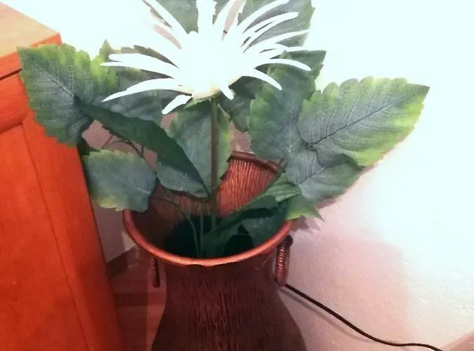 View شقة سبليت