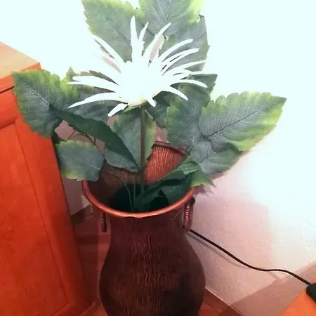 View Apartment Split